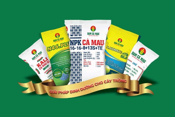 Đạm Cà Mau - Không ngừng sáng tạo để phát triển