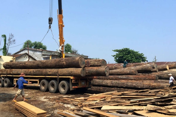 Quảng Nam: Bị gỗ đè, 1 lái xe tử vong