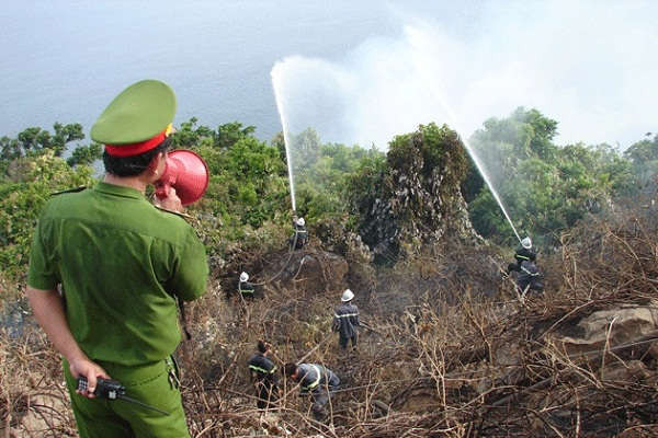 Đà Nẵng: Tăng cường bảo vệ rừng và phòng cháy, chữa cháy rừng mùa khô