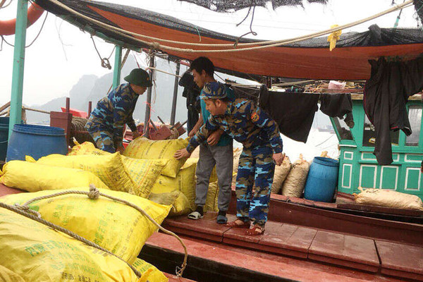 Quảng Ninh: Bắt 3 tàu khai thác thủy sản trái phép