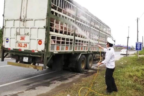 Quảng Trị: Tăng cường thêm chốt kiểm dịch liên ngành phòng chống dịch tả lợn Châu Phi