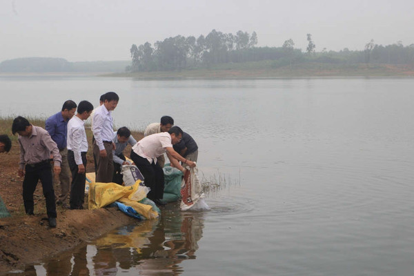 Quảng Trị: Thả hơn 10.000 cá bổ sung tái tạo nguồn lợi thủy sản