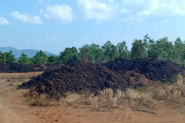 Đắk Nông: “Mục sở thị” khu tập kết trái phép khoáng sản nghi là than bùn