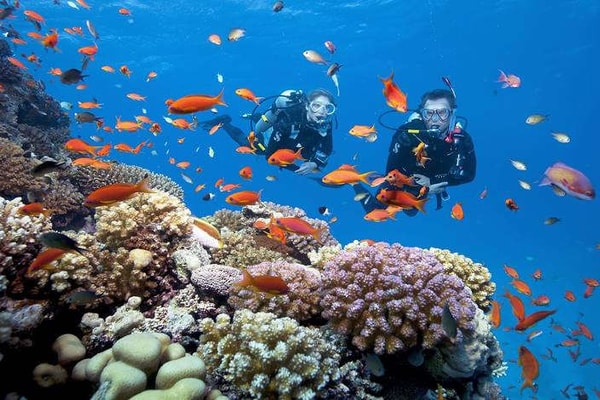 Khám phá tài nguyên vị thế, kỳ quan sinh thái biển Việt Nam