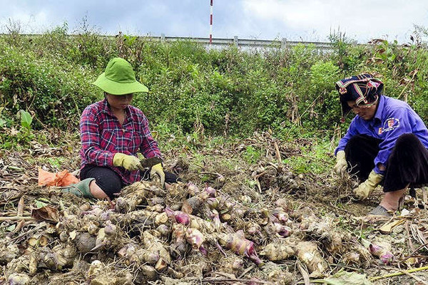 Huyện Điện Biên: Cần sự phối hợp giữa chính quyền và người dân trong sử dụng tài nguyên đất