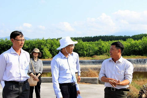 Bình Thuận: Giám sát ô nhiễm môi trường tại các trang trại chăn nuôi heo