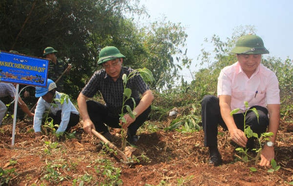 Ngày hội xuống giống hoa dã quỳ tại huyện miền núi Quảng Trị