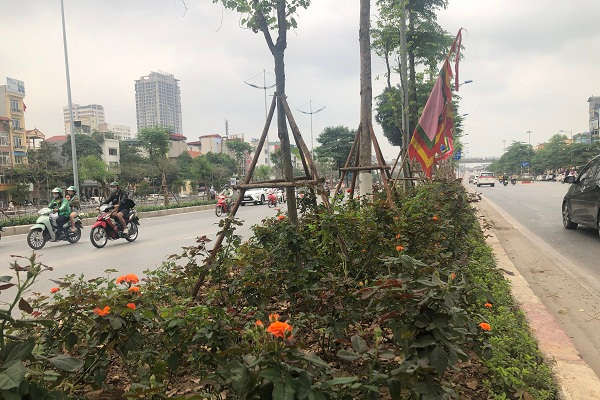 Hà Nội: Chất lượng không khí tiếp tục được cải thiện