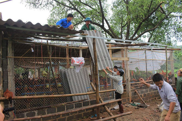 Thái Nguyên, Bắc Kạn, Lạng Sơn: Khẩn trương khắc phục hậu quả dông lốc
