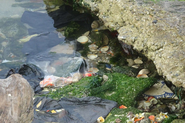 Tìm lời giải cho bài toán rác thải nhựa nơi đảo xa - Kỳ I: Trăn trở với rác thải đảo Lý Sơn