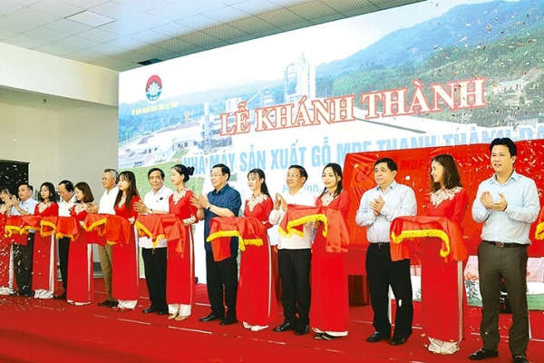 Phó Thủ tướng Vương Đình Huệ dự lễ khánh thành nhà máy sản xuất gỗ gần 1.500 tỷ đồng tại Hà Tĩnh