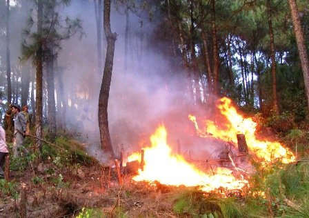 Sơn La: Hơn 120 người tham gia chữa cháy tại Rừng đặc dụng Xuân Nha