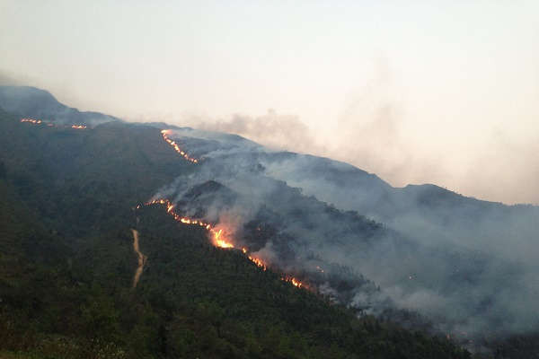 Yên Bái: Cấp bách triển khai các biện pháp phòng chống cháy rừng
