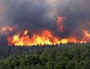 Nắng nóng bất thường, 20 điểm cháy rừng phát sinh 1 ngày