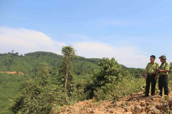 Thừa Thiên Huế: Tăng cường quản lý bảo vệ và phòng cháy, chữa cháy rừng
