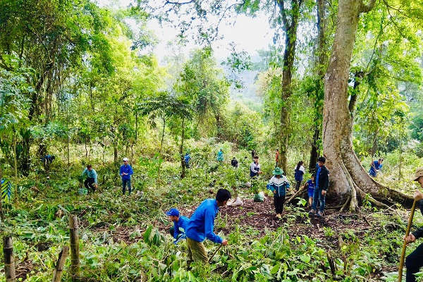 Ra quân phát động trồng 2.500 cây xanh tại thành phố Sơn La