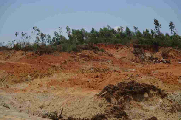 Bình Định: Nóng nạn khai thác, vận chuyển đất tại huyện Phù Cát