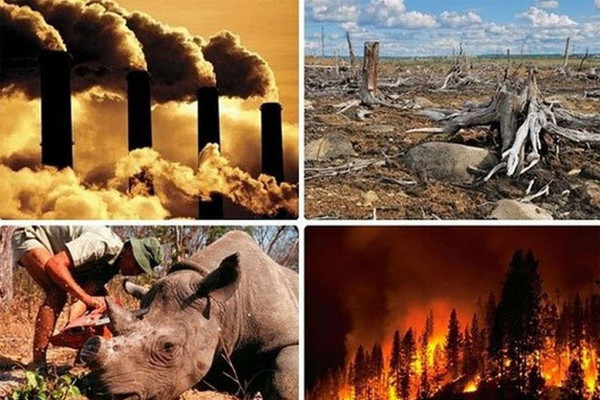 Trái đất đối mặt với tuyệt chủng nếu càng nóng lên và biến đổi khí hậu gia tăng: Nhân loại đang ở giữa Cuộc Đại tuyệt chủng lần thứ 6?