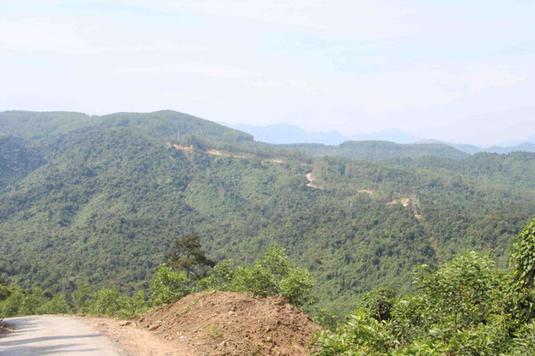 Thừa Thiên Huế: Duy trì độ che phủ rừng đạt 57,5% trong năm 2019