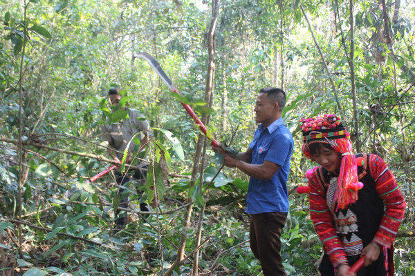 Giữ rừng Điện Biên: Đổi thay nhờ chính sách