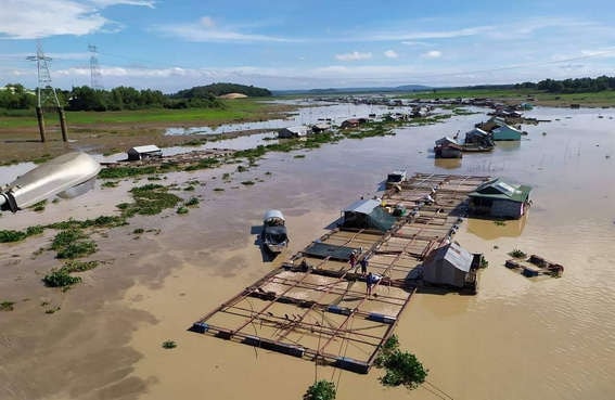 Bộ TN&MT vào cuộc xử lý tình trạng cá chết trên sông La Ngà