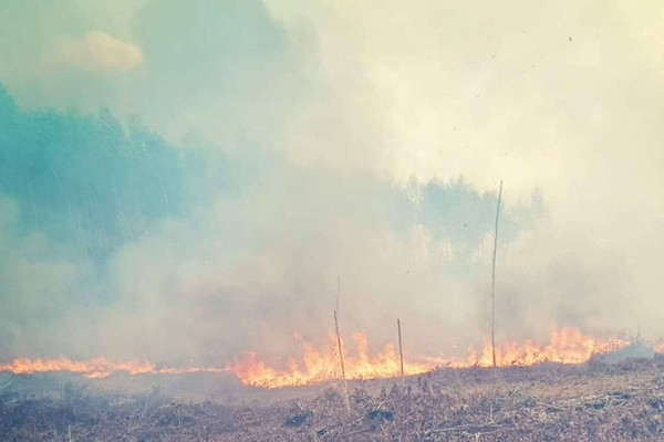 Thừa Thiên - Huế: Khống chế đám cháy mới trên rừng keo tràm xã Phong Xuân huyện Phong Điền