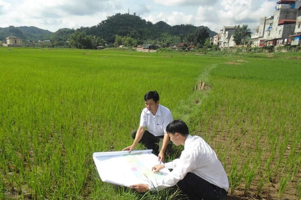 Sử dụng đất đang tiềm ẩn lớn nguy cơ lãng phí, tham nhũng