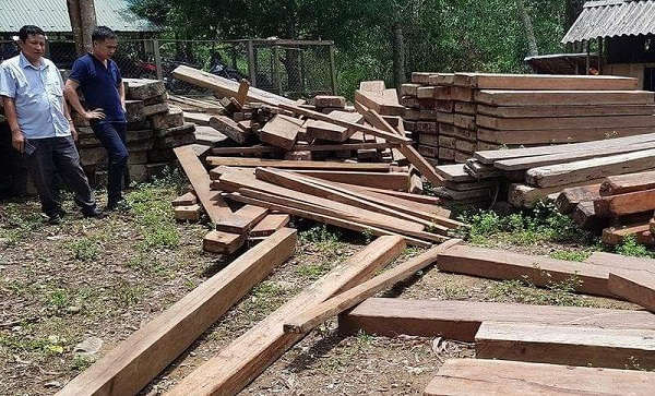 Quảng Bình: Phát hiện gần 5m3 gỗ trái phép giấu trong trụ sở UBND xã