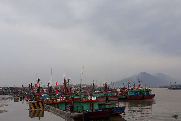 Nghệ An: Cần xử lý nghiêm việc tàu cá neo đậu trái phép tại cảng Quốc tế Cửa Lò