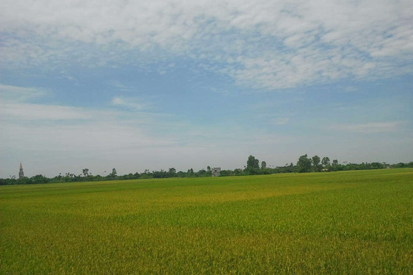 Chuyển mục đích sử dụng đất tại tỉnh Thái Bình
