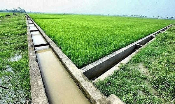 Quảng Ngãi: Tăng cường phát triển thủy lợi nội đồng và tưới tiên tiến, tiết kiệm nước