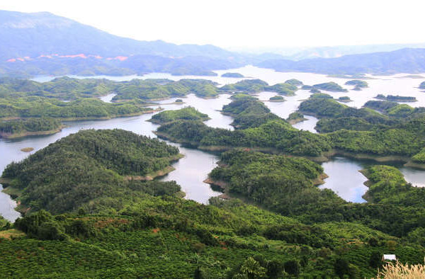 Đắk Nông: Thành lập Ban Quản lý Vườn Quốc gia Tà Đùng