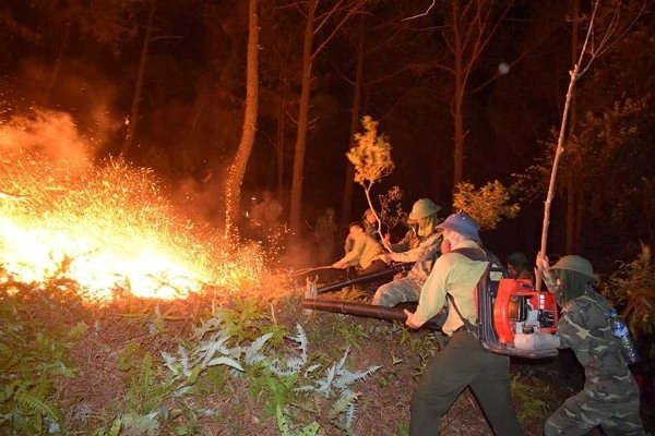 Hà Tĩnh: Hơn 1000 người tham gia dập tắt đám cháy rừng trong đêm