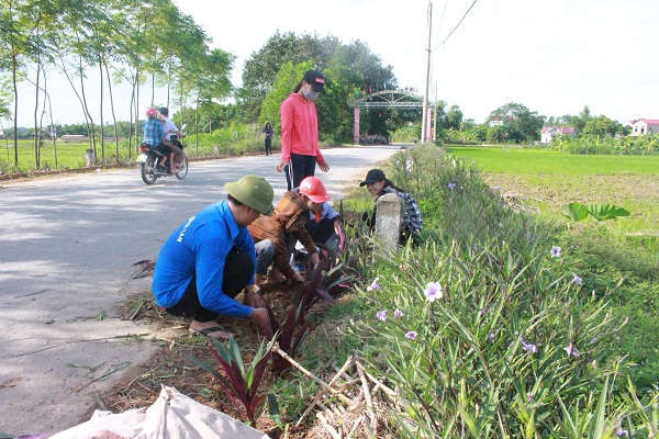 Tuổi trẻ Hà Nội tham gia phong trào trồng 'tuyến đường hoa' bảo vệ môi trường