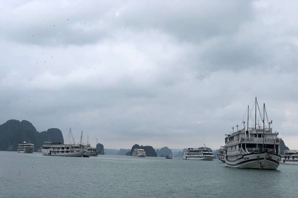 Quảng Ninh: Tạm ngừng cấp phép lưu trú du lịch qua đêm trên biển