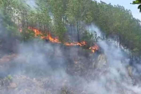 Hà Tĩnh: Tiếp tục xảy ra cháy rừng, huy động lực lượng khẩn trương dập lửa