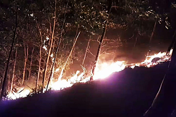 Hàng trăm người xuyên đêm chữa cháy rừng tại Quảng Nam