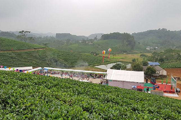 Thái Nguyên: Tăng cường quản lý, nâng cao hiệu quả sử dụng đất