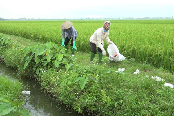 Bắc Ninh: Cải thiện môi trường nông thôn hưởng ứng năm “hành động vì môi trường sạch” 2019