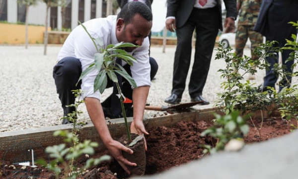 Ethiopia trồng 350 triệu cây một ngày nhằm giải quyết khủng hoảng khí hậu