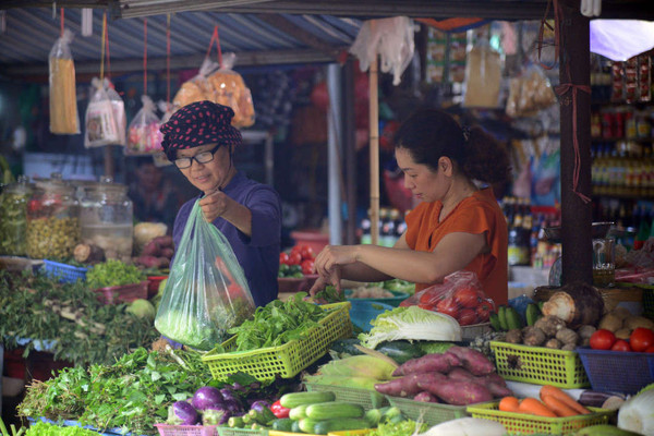 “Nhận diện” khả năng phân hủy túi ni lông ở Việt Nam