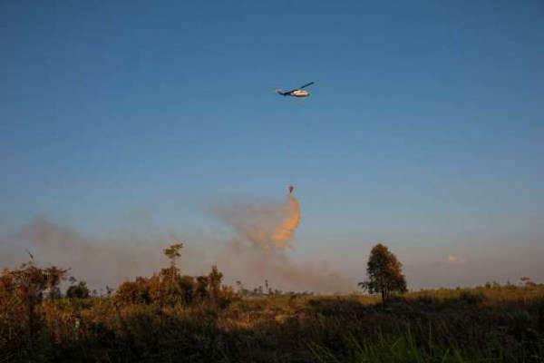Indonesia huy động hàng ngàn nhân viên an ninh chống cháy rừng