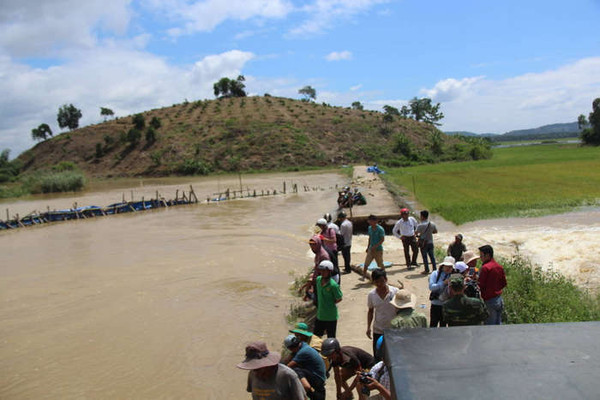 Đắk Lắk: Vỡ đê bao nước tràn vào đe doạ hơn 1.000ha lúa sắp thu hoạch