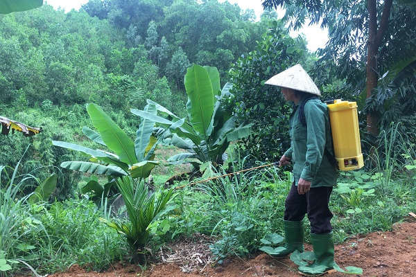 Yên Bái: Siết chặt quản lý thuốc bảo vệ thực vật