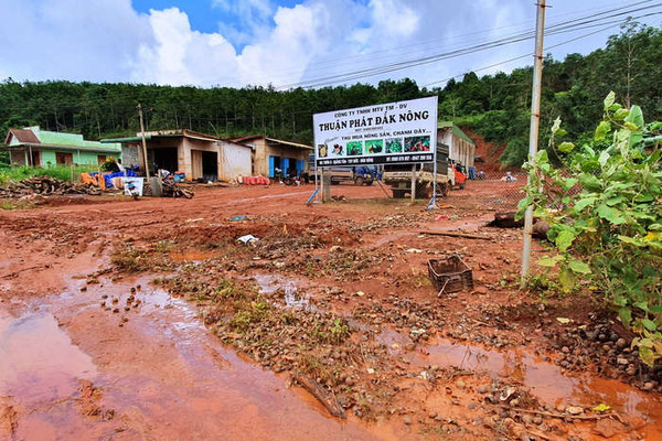 Đắk Nông: Doanh nghiệp xả thải ra môi trường dù chưa đủ điều kiện hoạt động