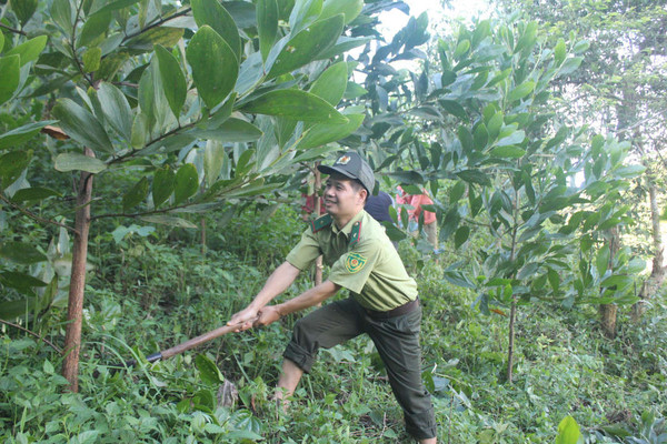 Điện Biên: Lời giải nào cho bài toán trồng rừng phòng hộ