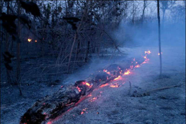 Mưa sẽ không dập tắt được cháy rừng Amazon trong vài tuần tới