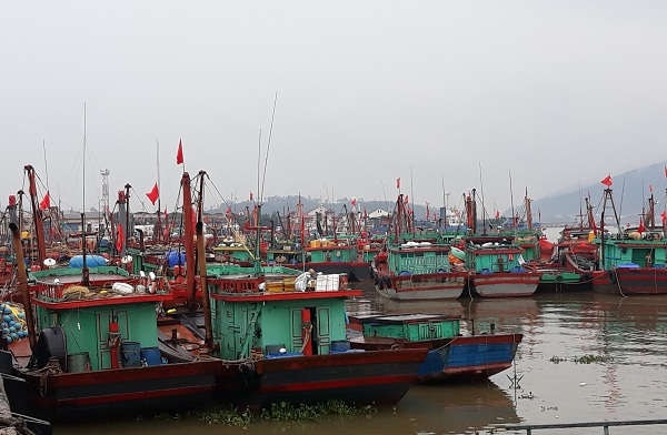 Nghệ An: Tuyệt đối cấm tàu thuyền ra khơi để đảm bảo an toàn