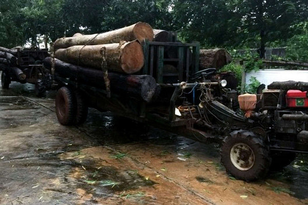 Phát hiện hai xe công nông chở gỗ lậu trên đường