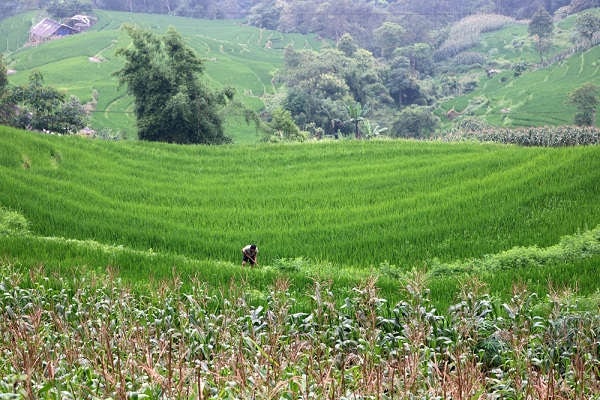 Lào Cai: Thành lập Ban chỉ đạo kiểm kê đất đai 2019